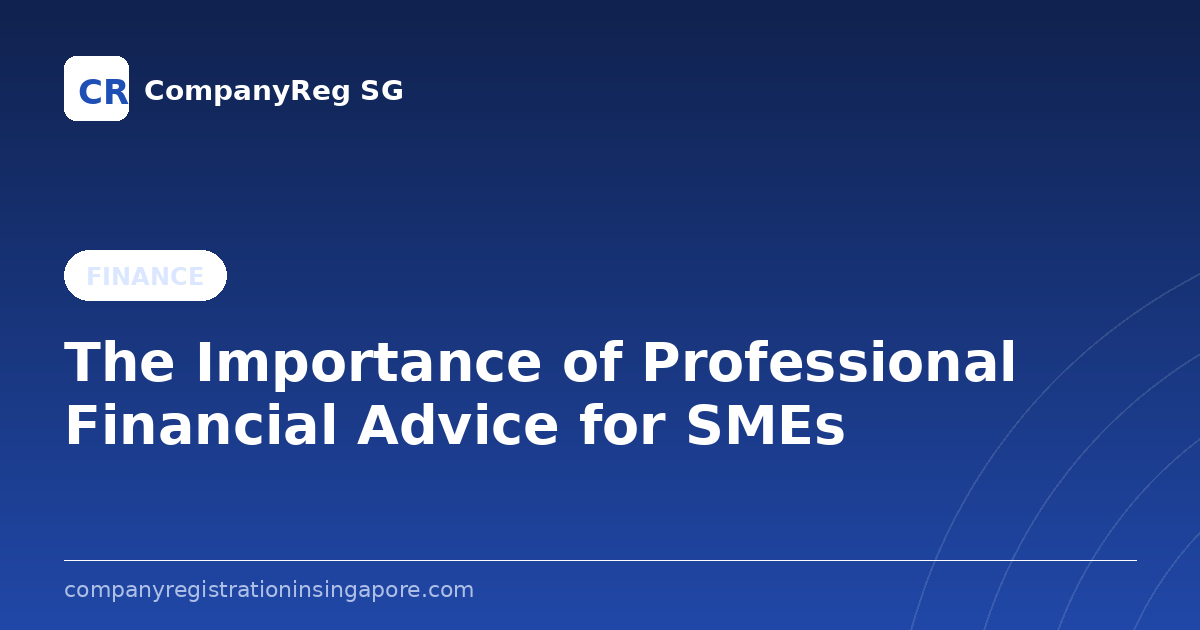 The Importance of Professional Financial Advice for SMEs